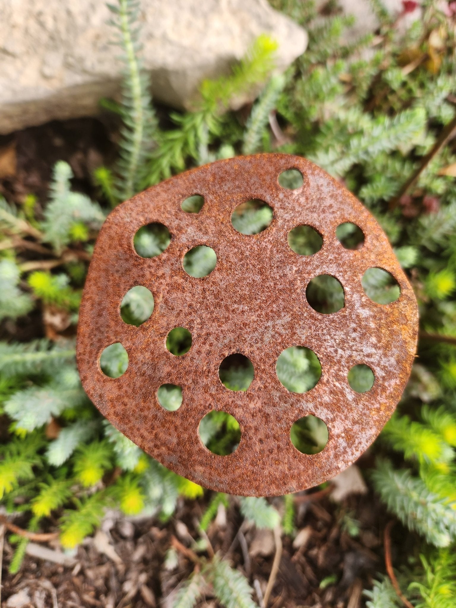 Rust-colored perforated object on a green plant background - Henderson Garden Supply