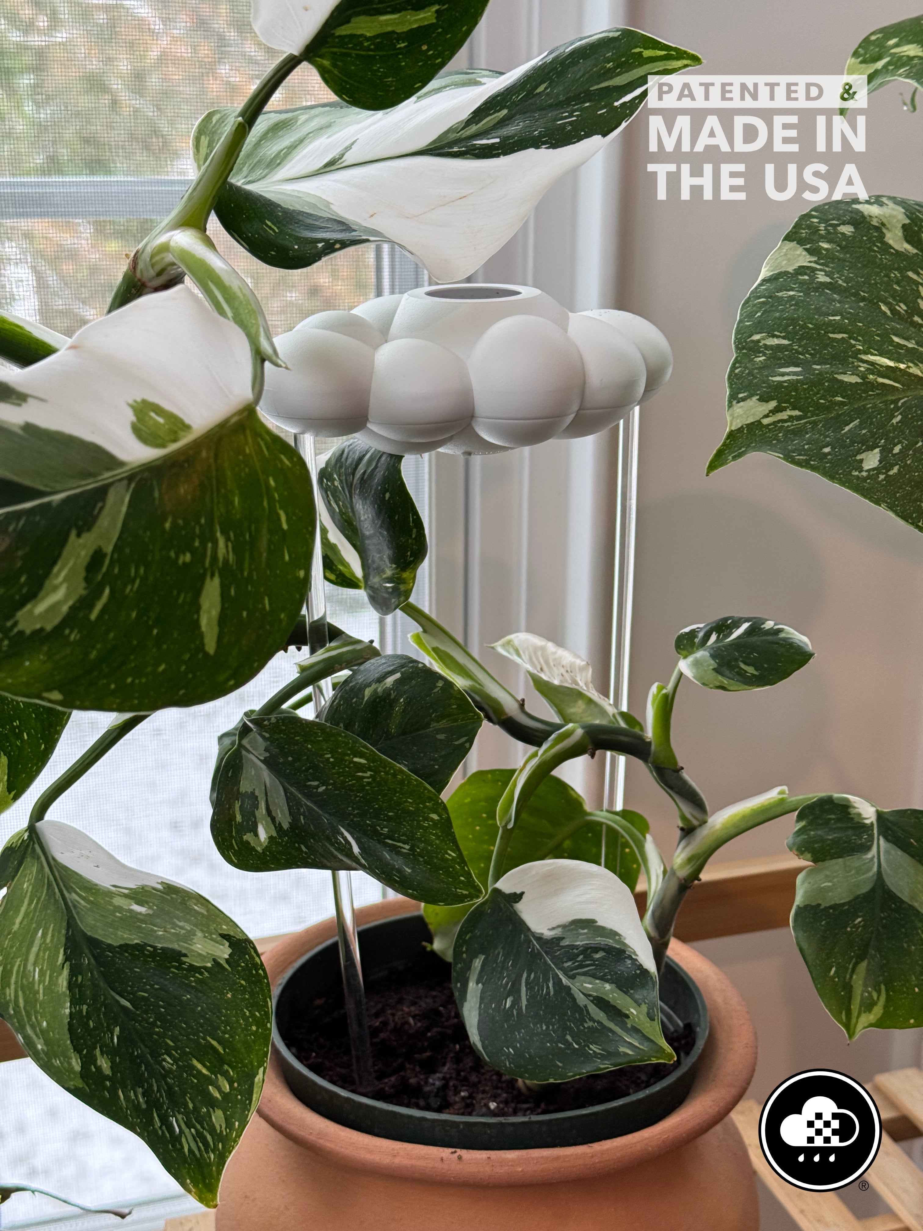 Original Dripping Rain Cloud