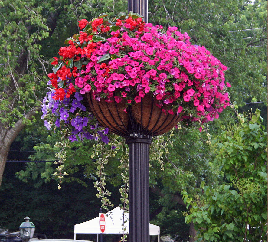 Lamppost hayrack, lamppost flower basket planter - Henderson Garden Supply