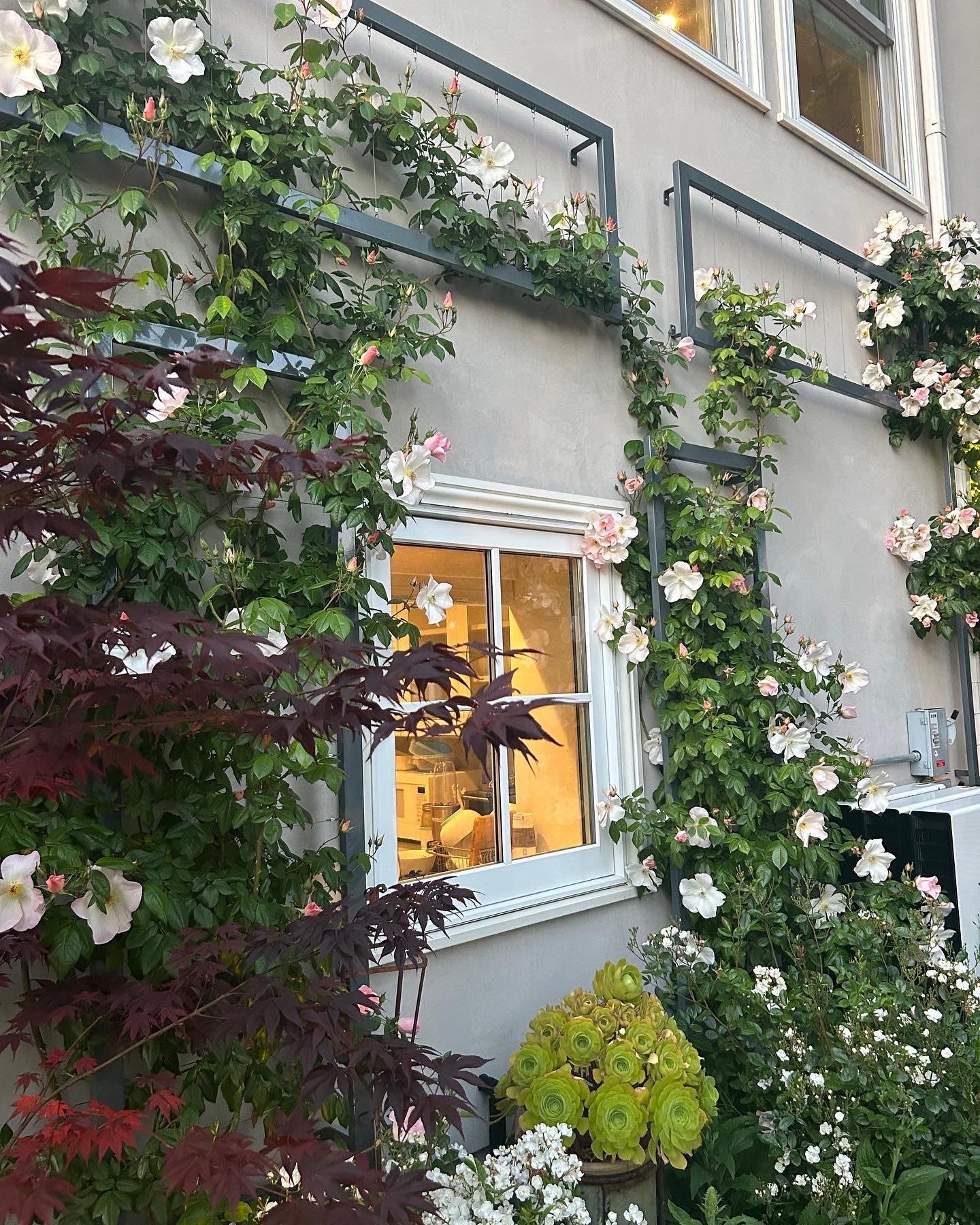 Large Wall Trellis