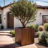 Corten Steel Cube Planters