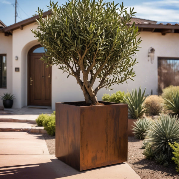 Corten Steel Cube Planters