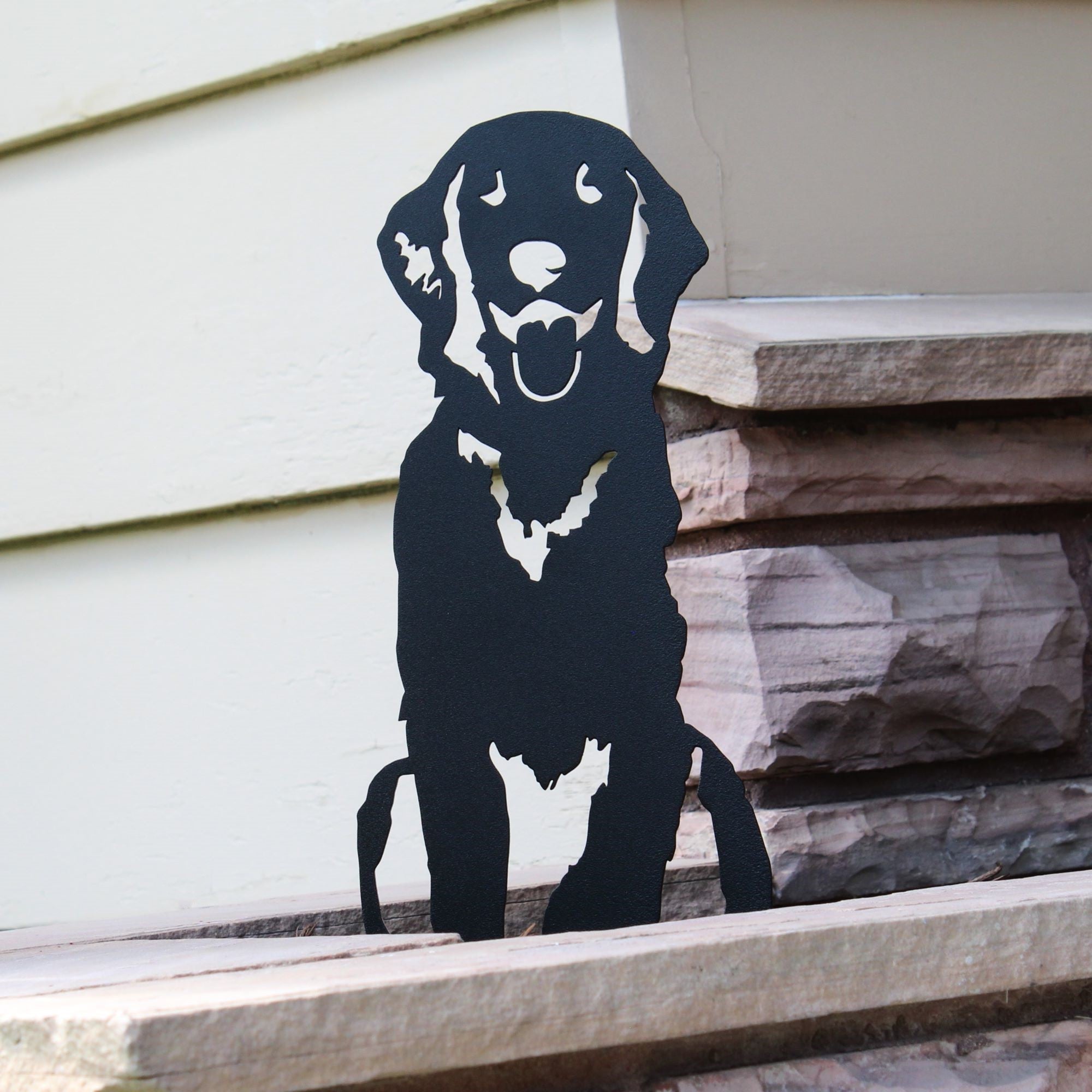 Retriever - Flat Coated