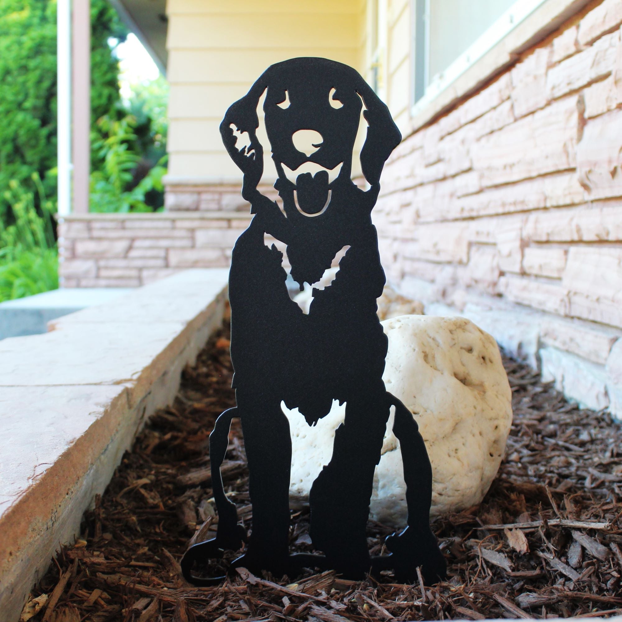 Retriever - Flat Coated