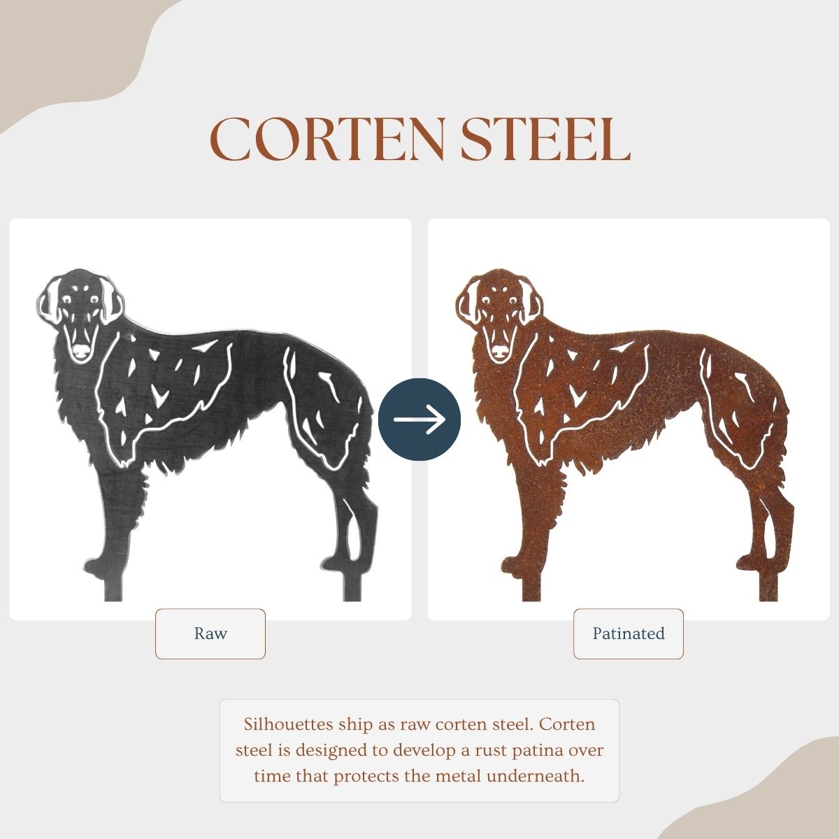 Borzoi