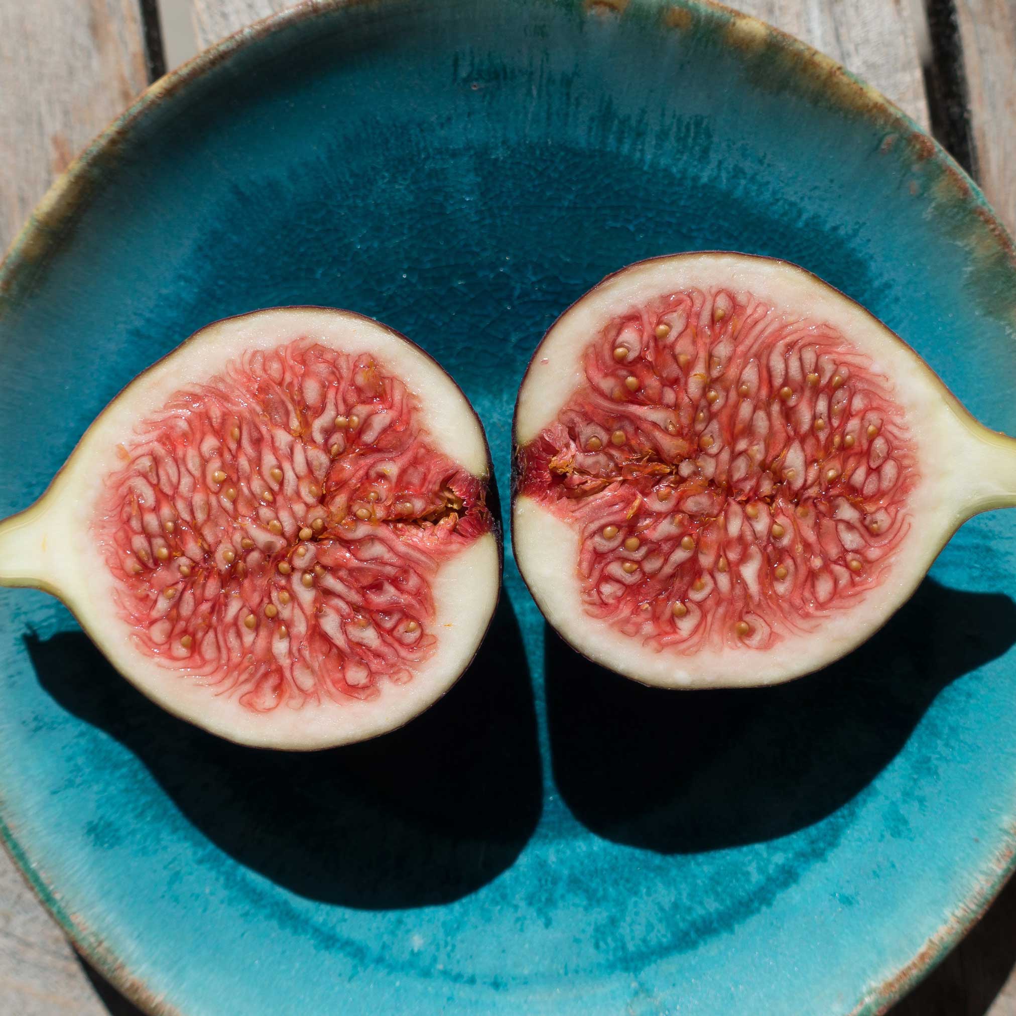 Halved fig on a blue ceramic plate.  Henderson Garden Supply