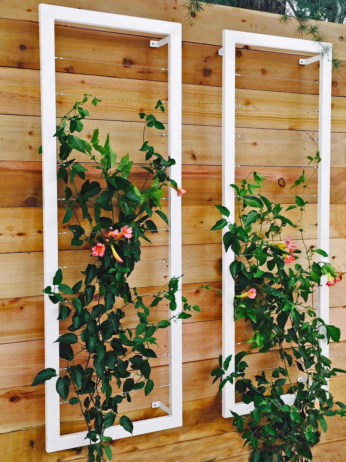 Large Wall Trellis