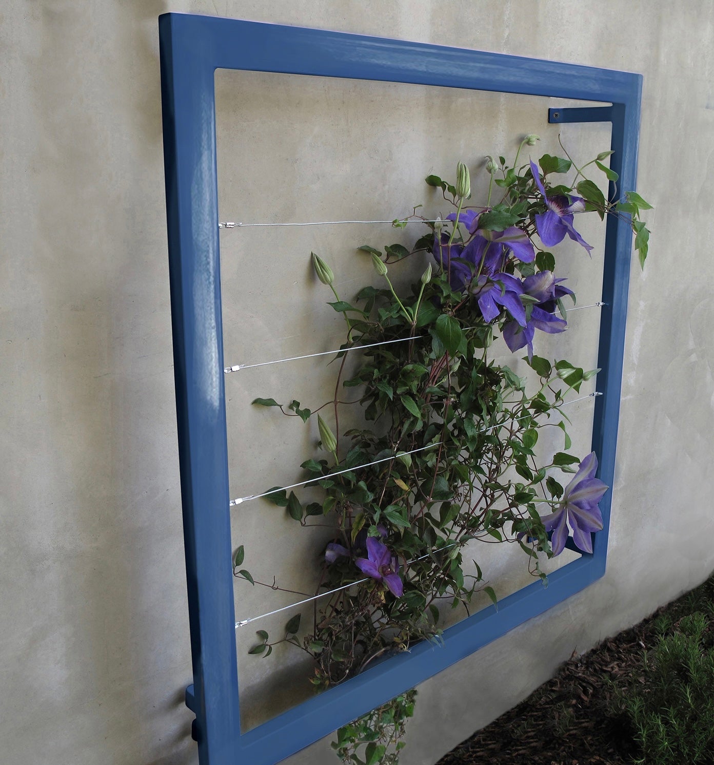 Medium Wall Trellis