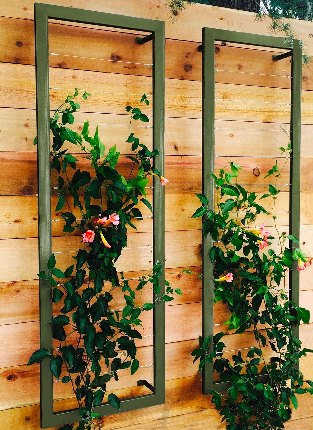 Ina Wall Trellis Large - Thumbnail 5