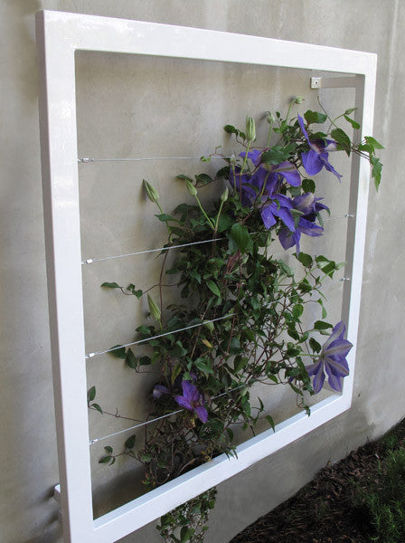 Medium Wall Trellis
