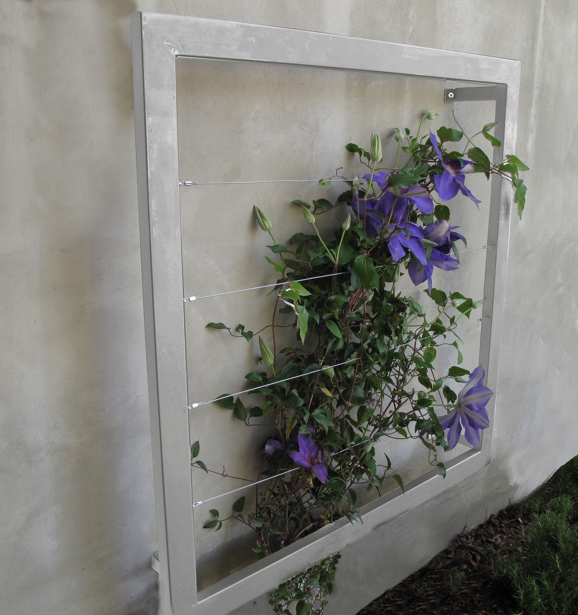 Ina Wall Trellis Regular