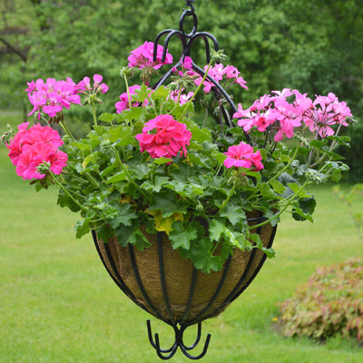 Spanish Hanging Basket