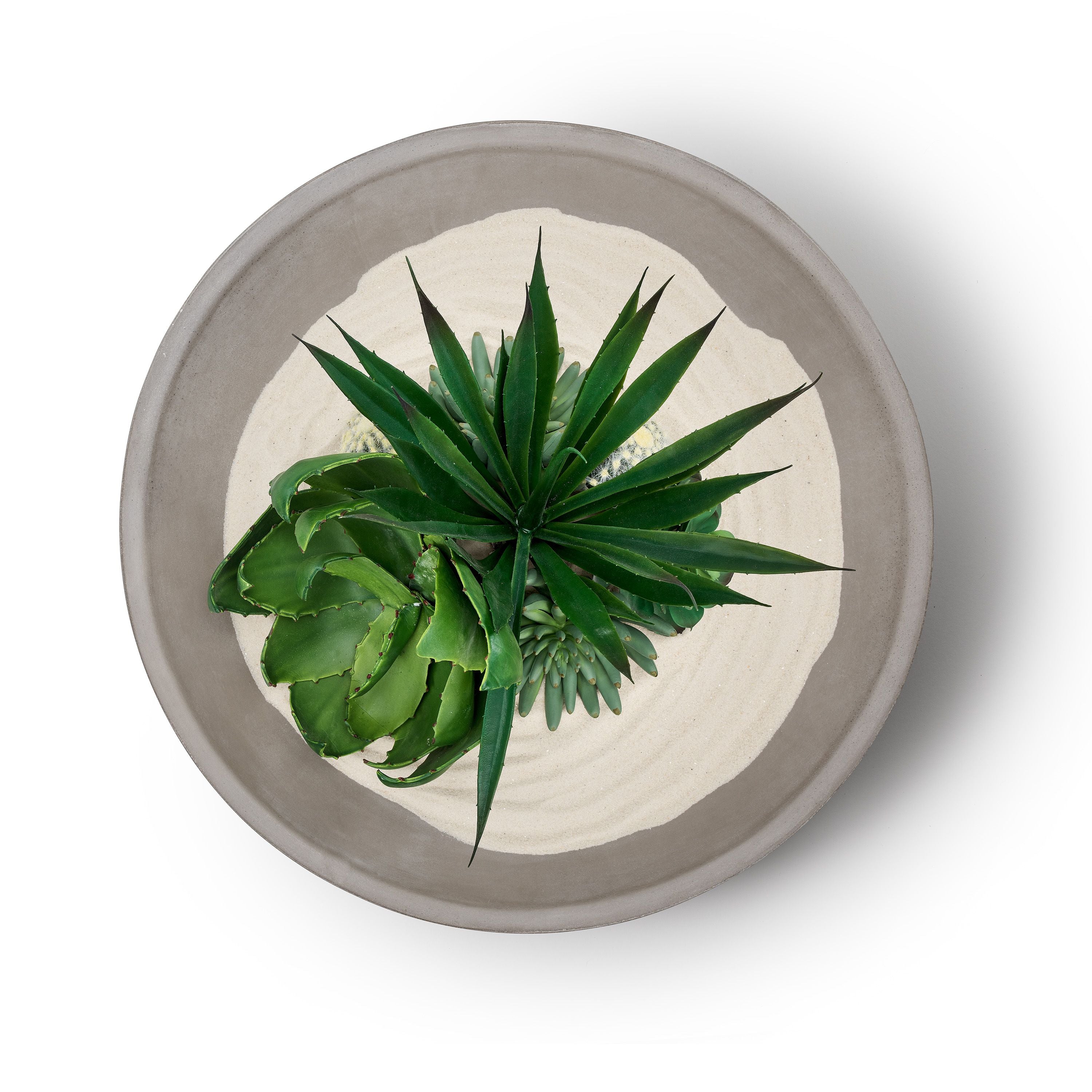 Green succulent plant in a round, textured pot on a white background.  Henderson Garden Supply