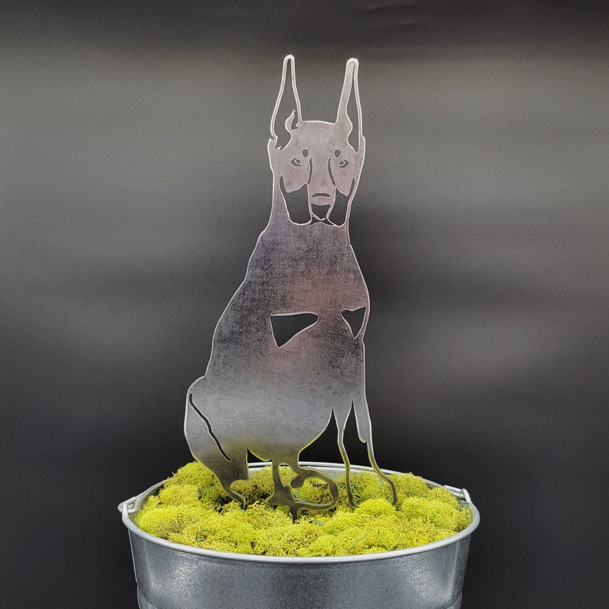 Miniature Pinscher