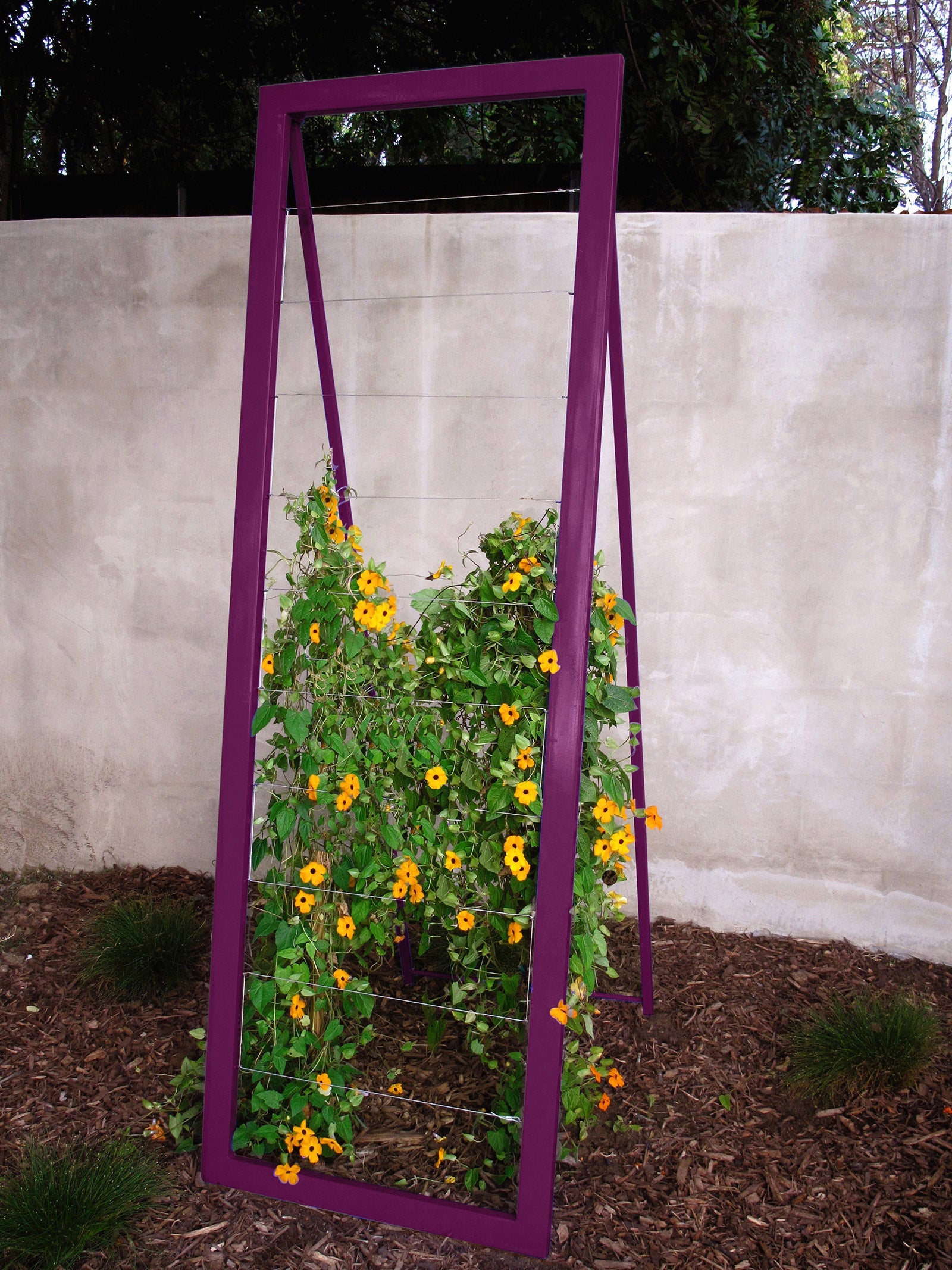 Large A Frame Garden Trellis