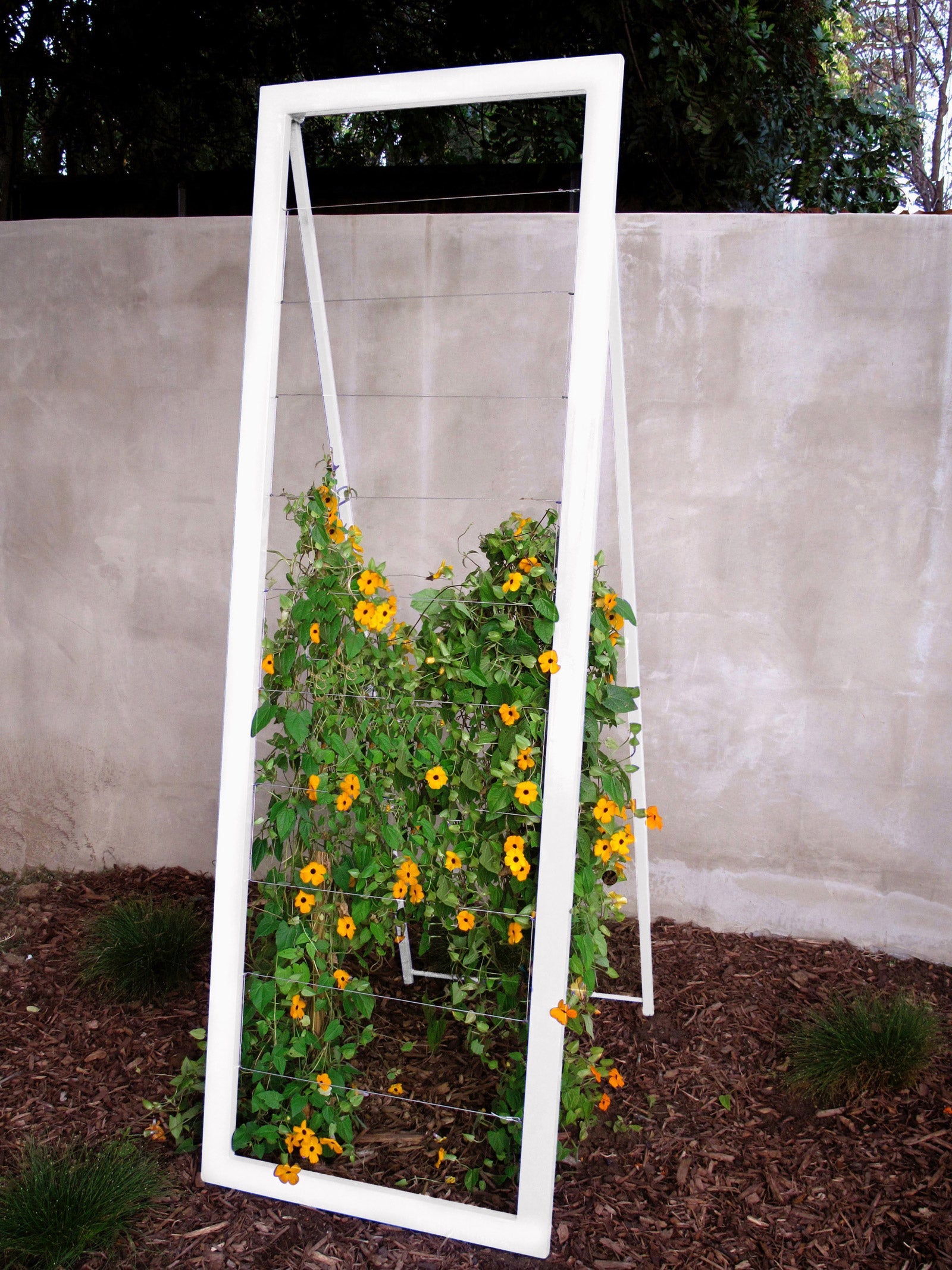 Large A Frame Garden Trellis