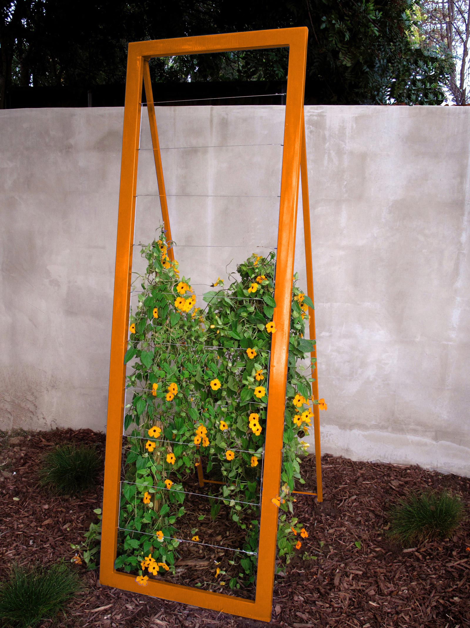 Large A Frame Garden Trellis
