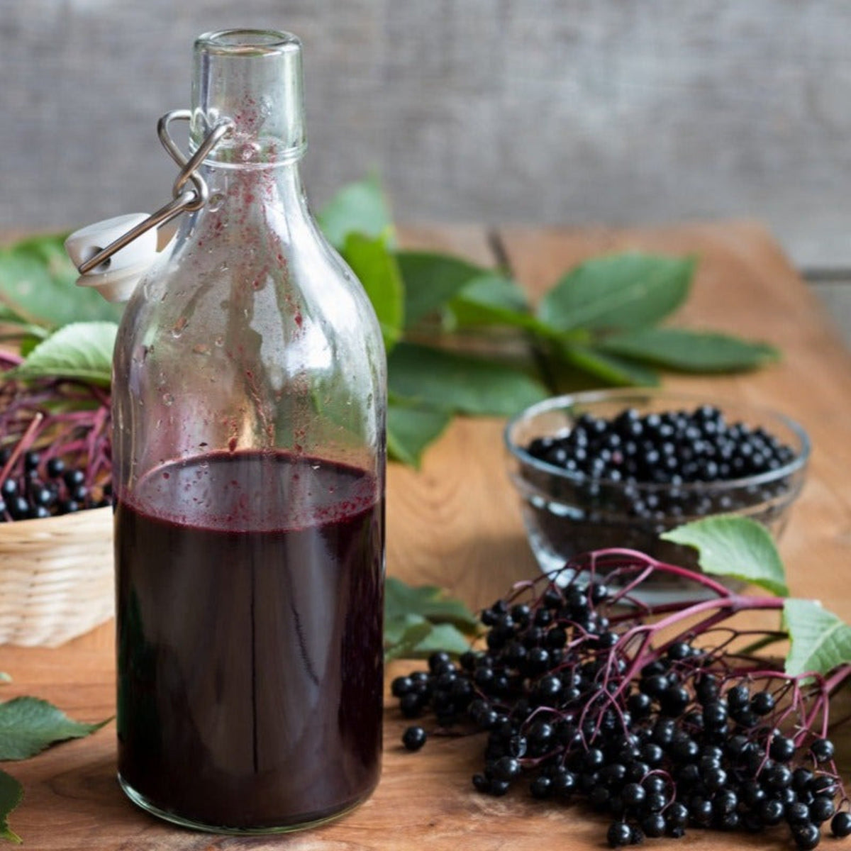 Bottle of dark liquid on a wooden surface with elderberries and leaves.  Henderson Garden Supply