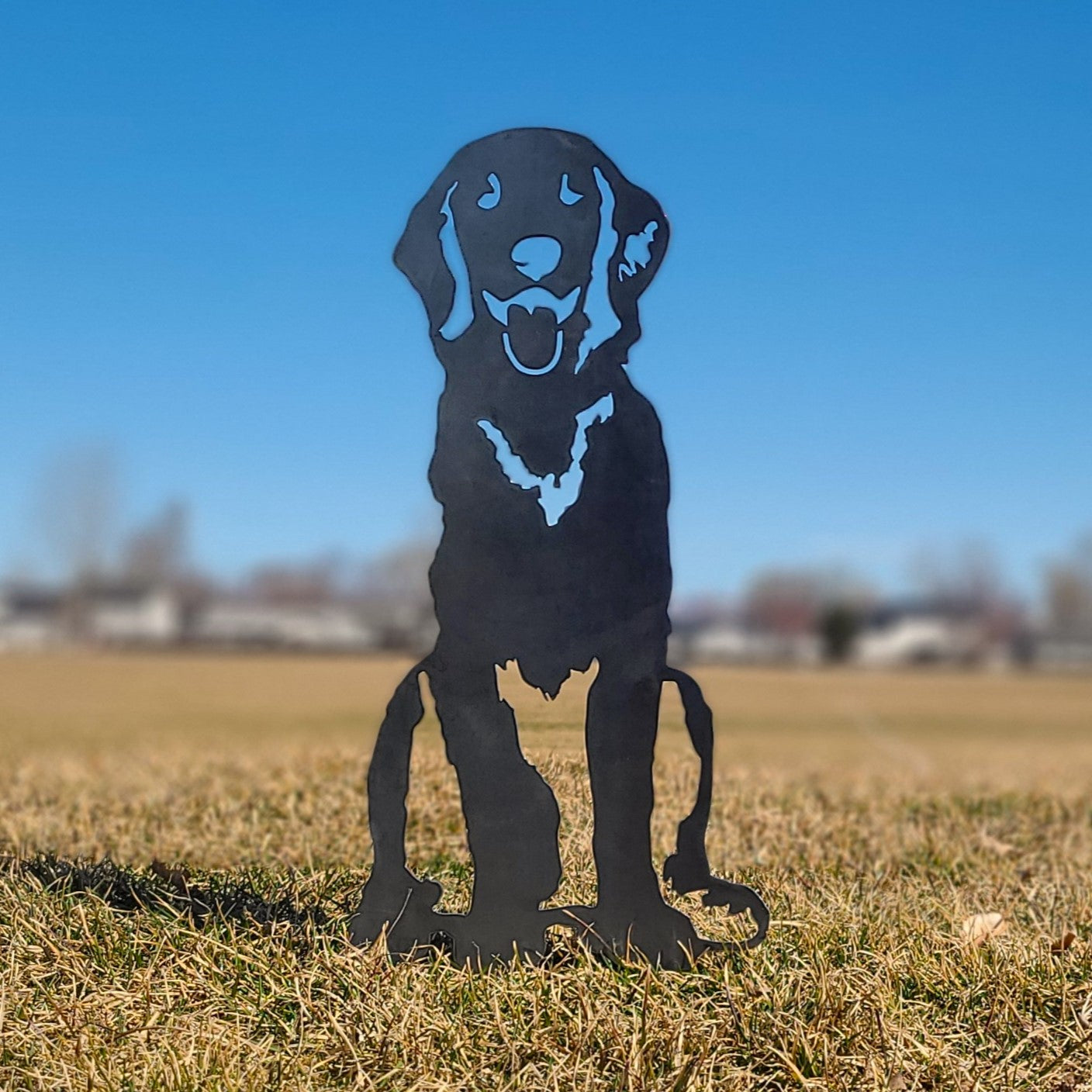 Retriever - Flat Coated