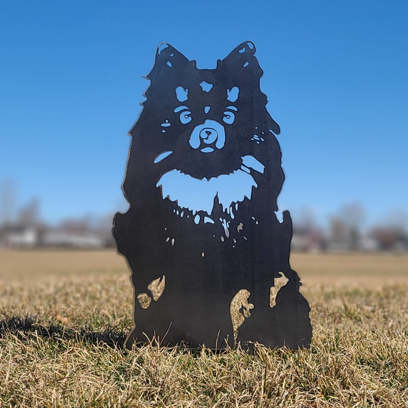 Pomeranian