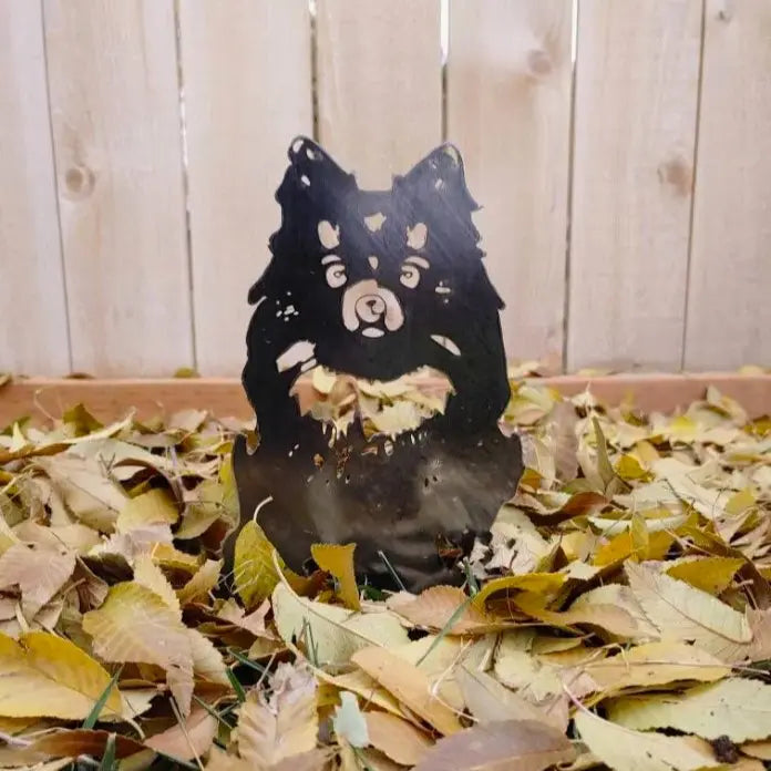 Pomeranian
