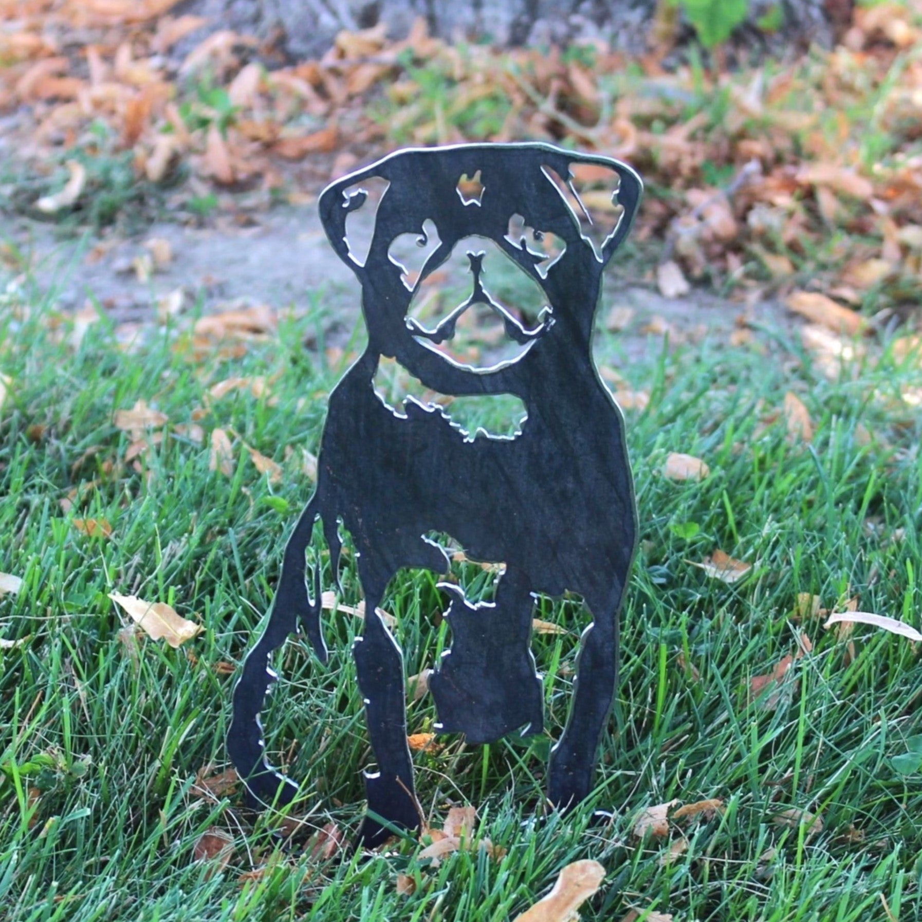 Pug
