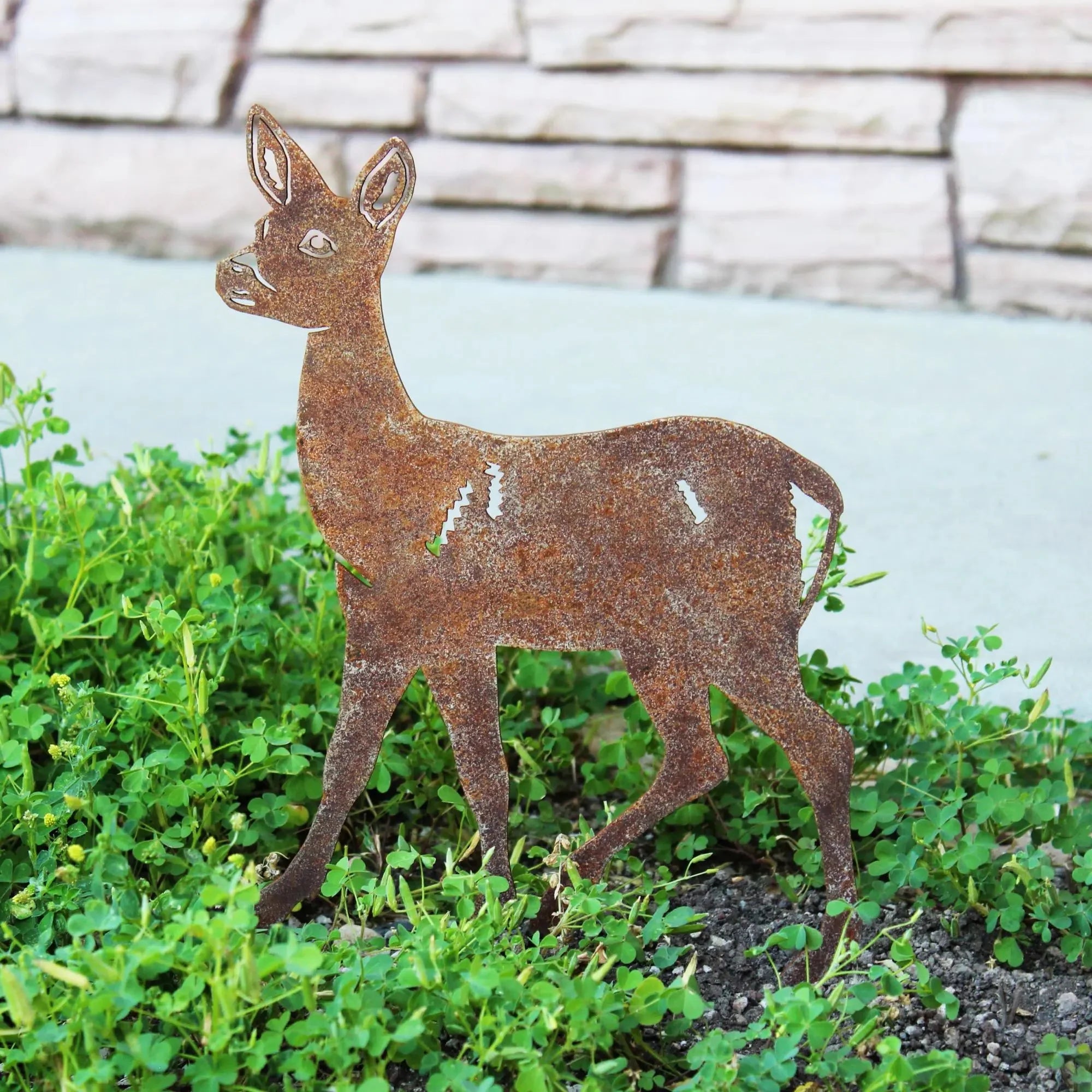 Doe Deer