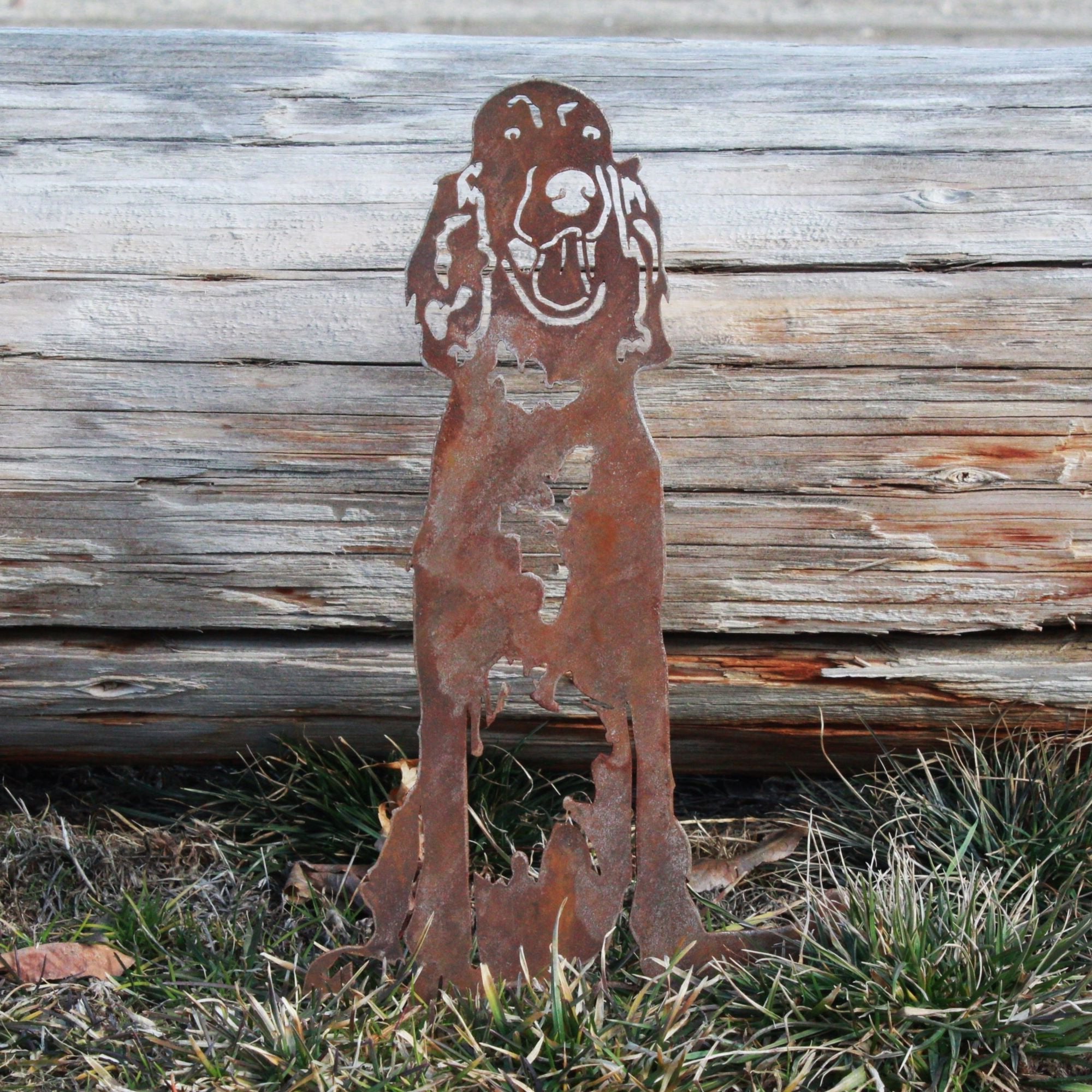 Irish Setter