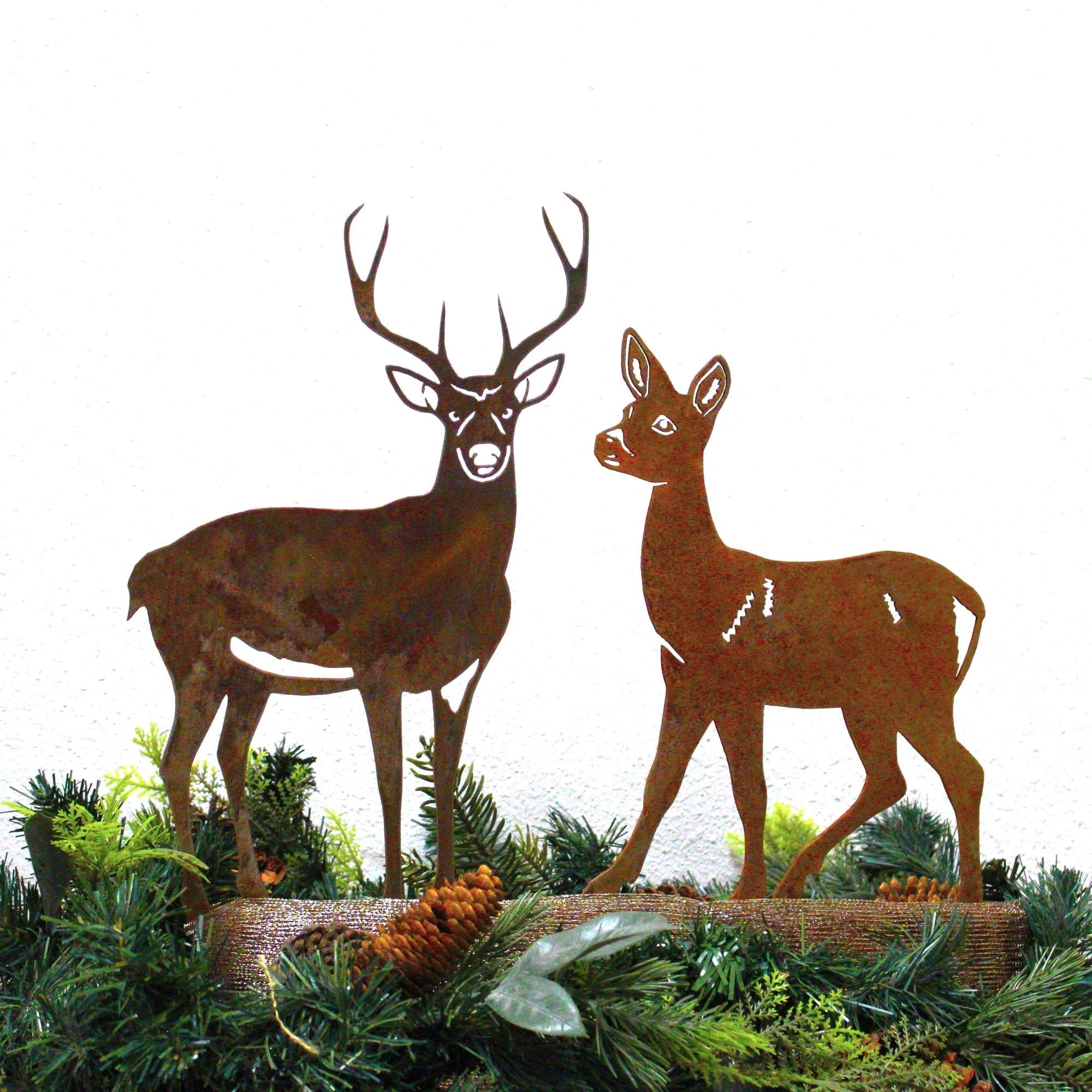 Doe Deer