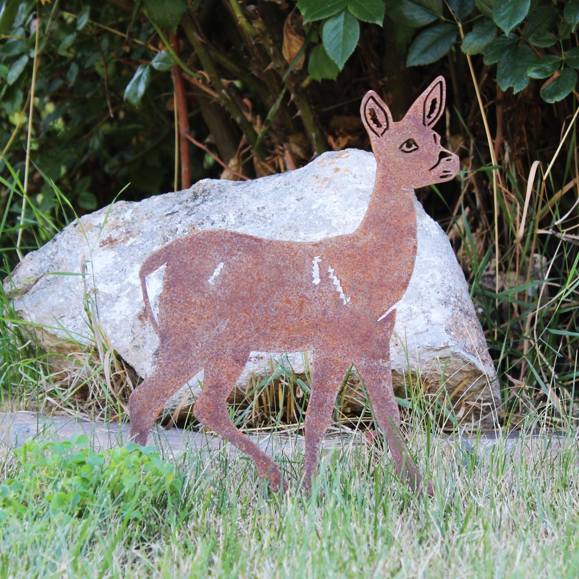 Doe Deer