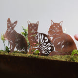 Bengal
