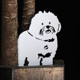Bichon Frise