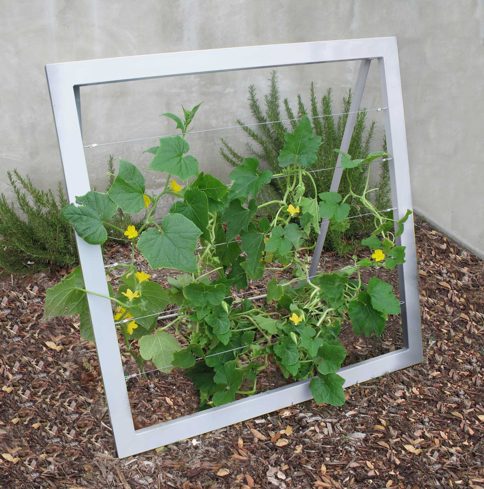 Medium A Frame Garden Trellis