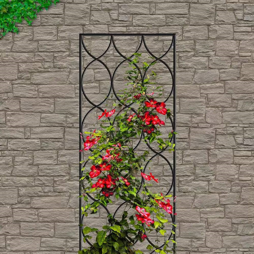 Decorative metal trellis with climbing plants against a stone wall.  Henderson Garden Supply