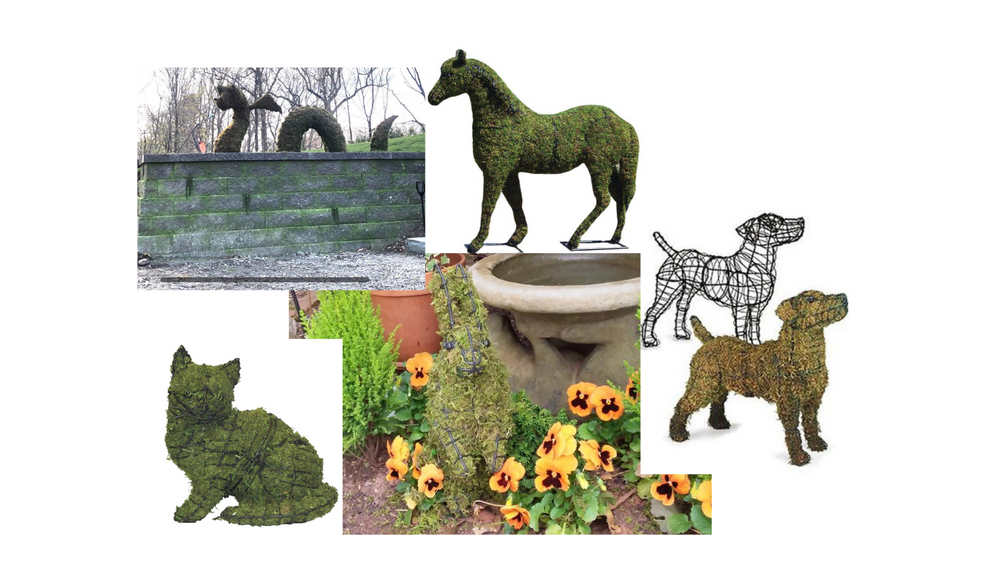 Topiary dog forms, topiary cat forms, topiary animal forms - Henderson Garden Supply