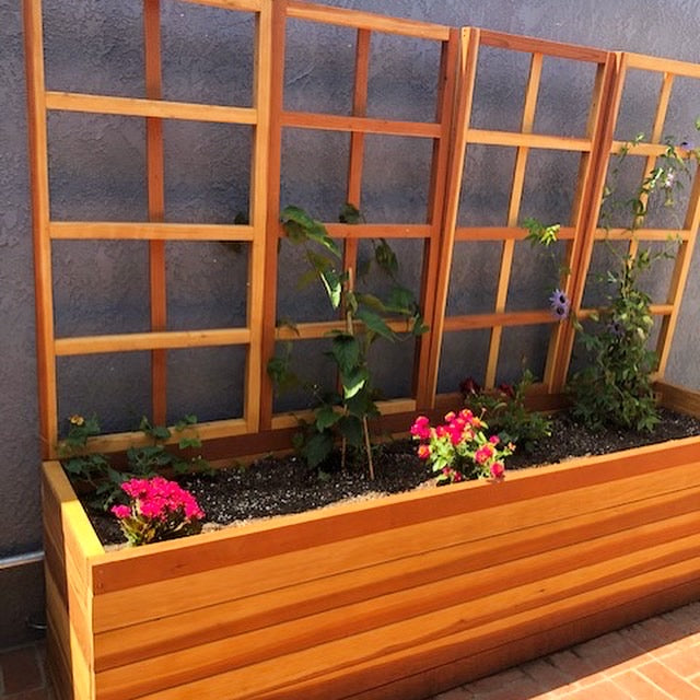San Laura's Redwood Planter Box with Trellis - Thumbnail 5