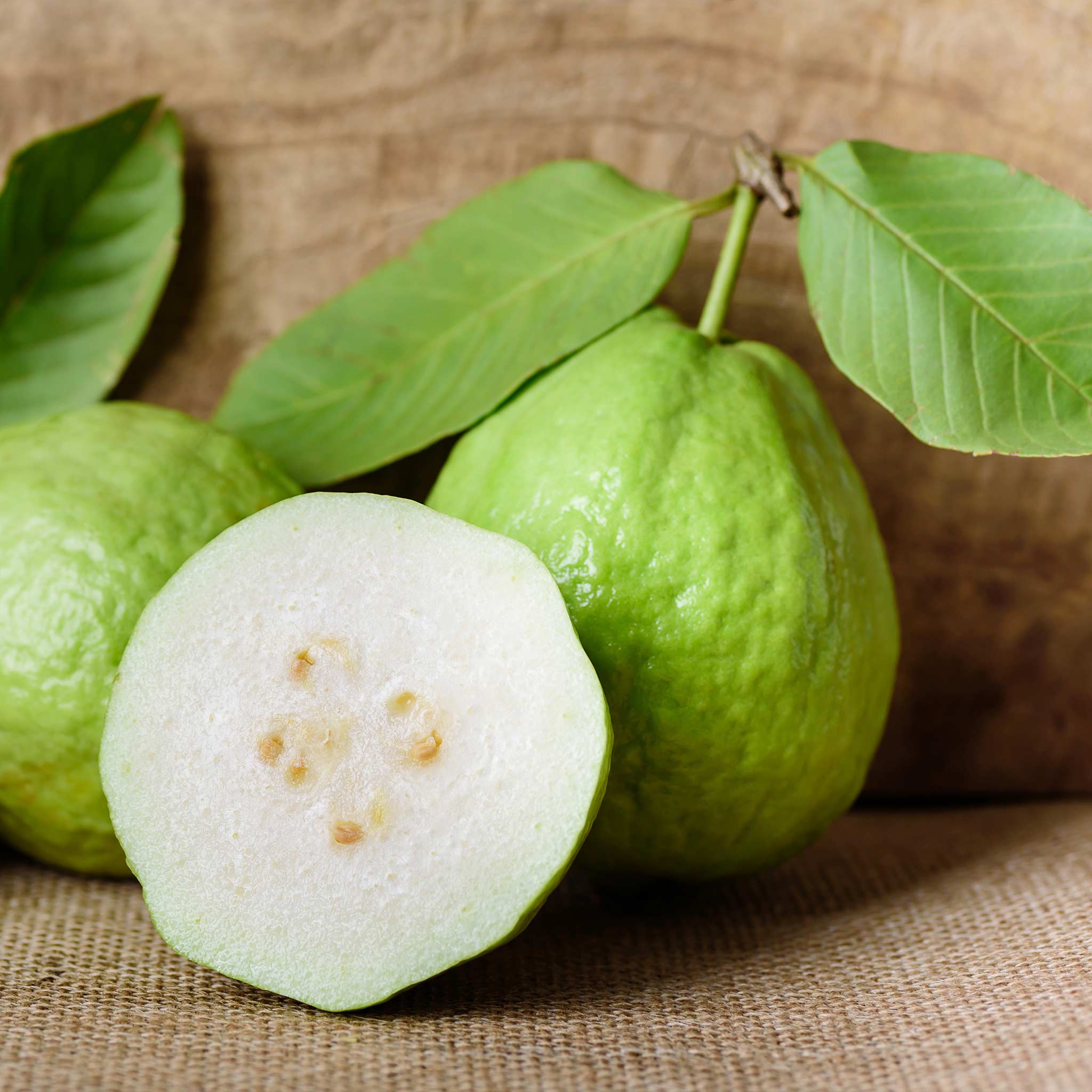 Green guava fruit with a halved guava on a burlap background.  Henderson Garden Supply