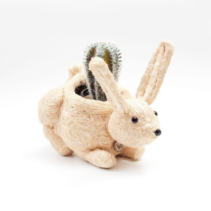 Bunny Coco Fiber Planter - Henderson Garden Supply