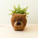 Chow chow dog coco fiber planter - Henderson Garden Supply