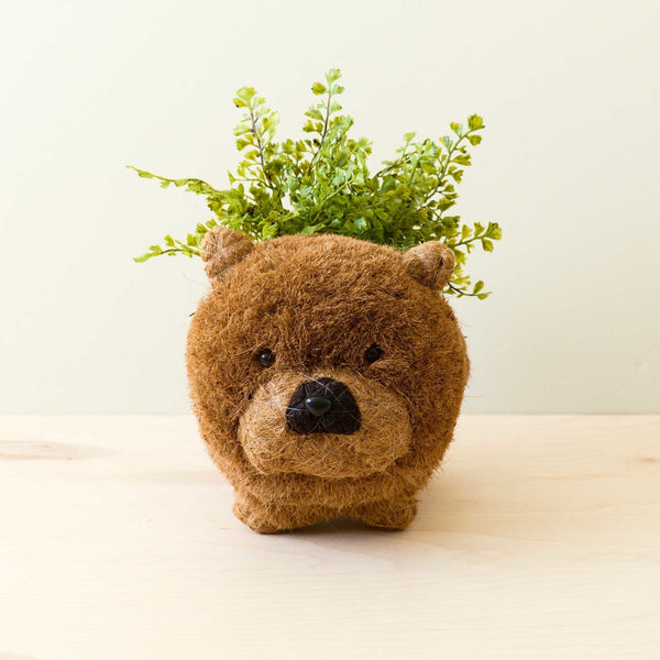 Chow chow dog coco fiber planter - Henderson Garden Supply