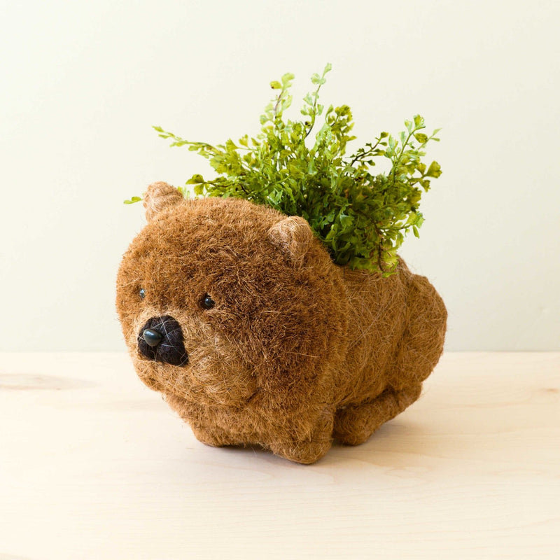 Chow Chow coco fiber planter for dog lovers - Henderson Garden Supply