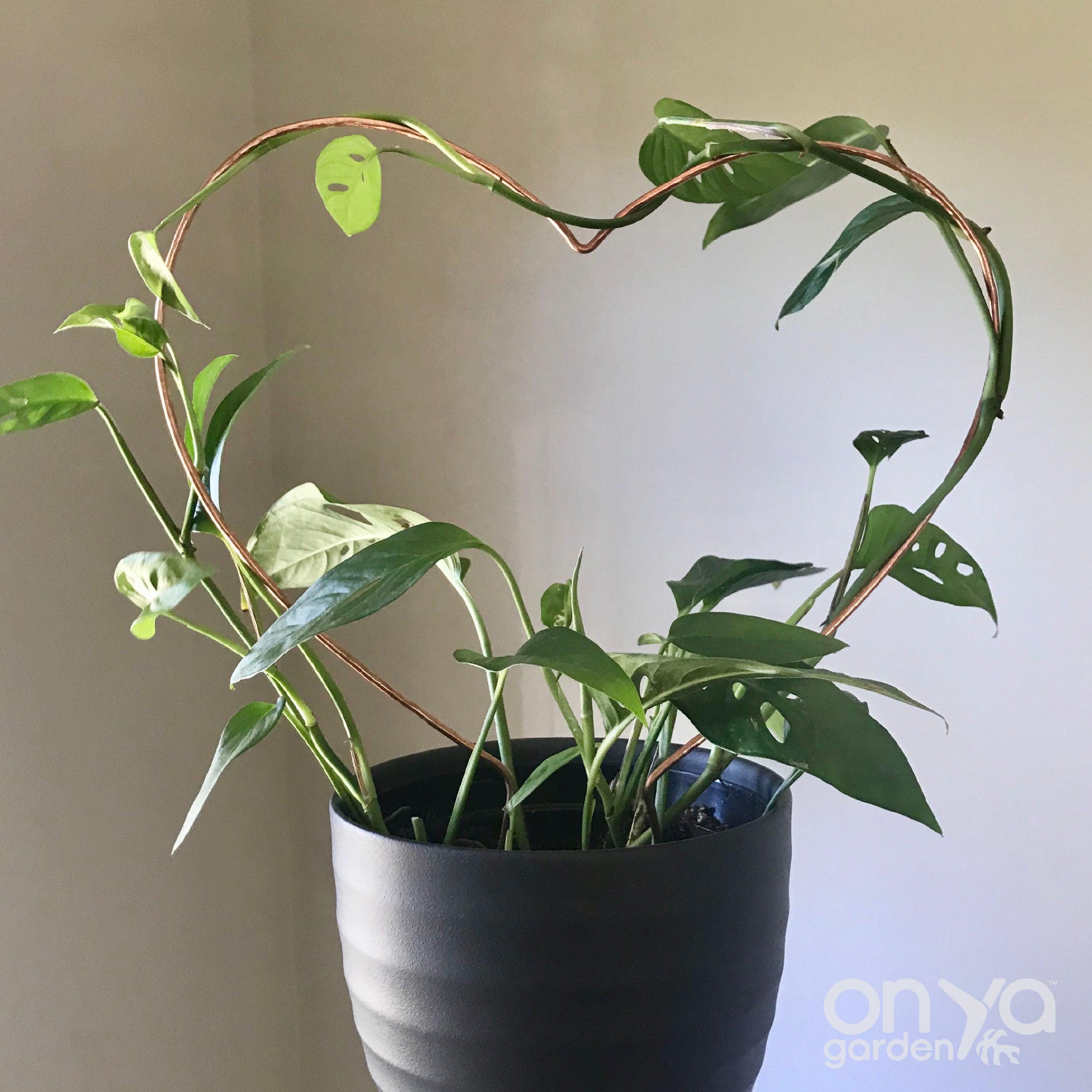 Copper Heart Trellis for House Plants, 3 Sizes Available