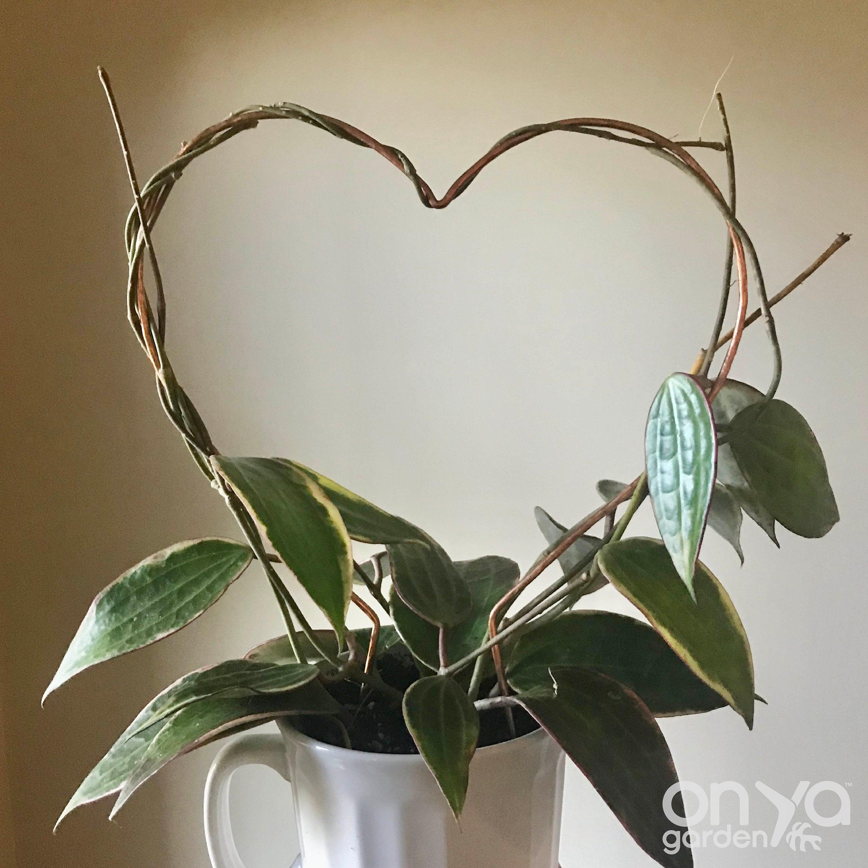 Copper Heart Trellis for House Plants, 3 Sizes Available