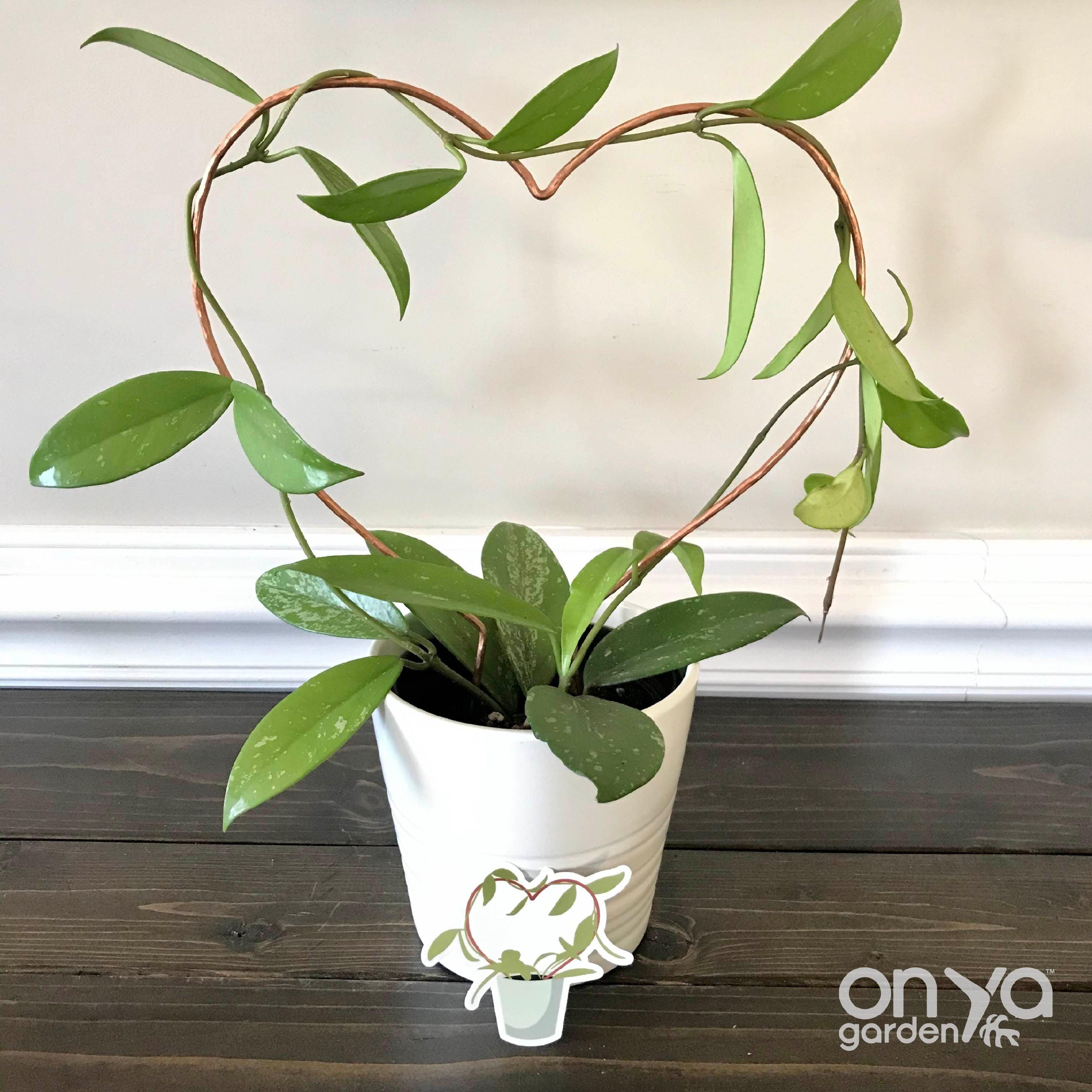 Copper Heart Trellis for House Plants, 3 Sizes Available