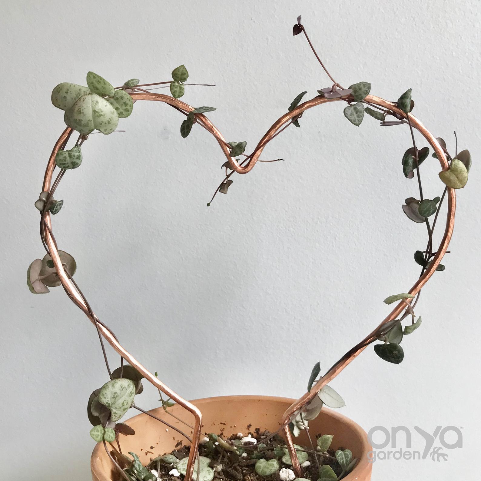 Copper Heart Trellis for House Plants, 3 Sizes Available