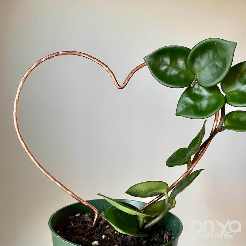 Copper Heart Trellis for House Plants, 3 Sizes Available
