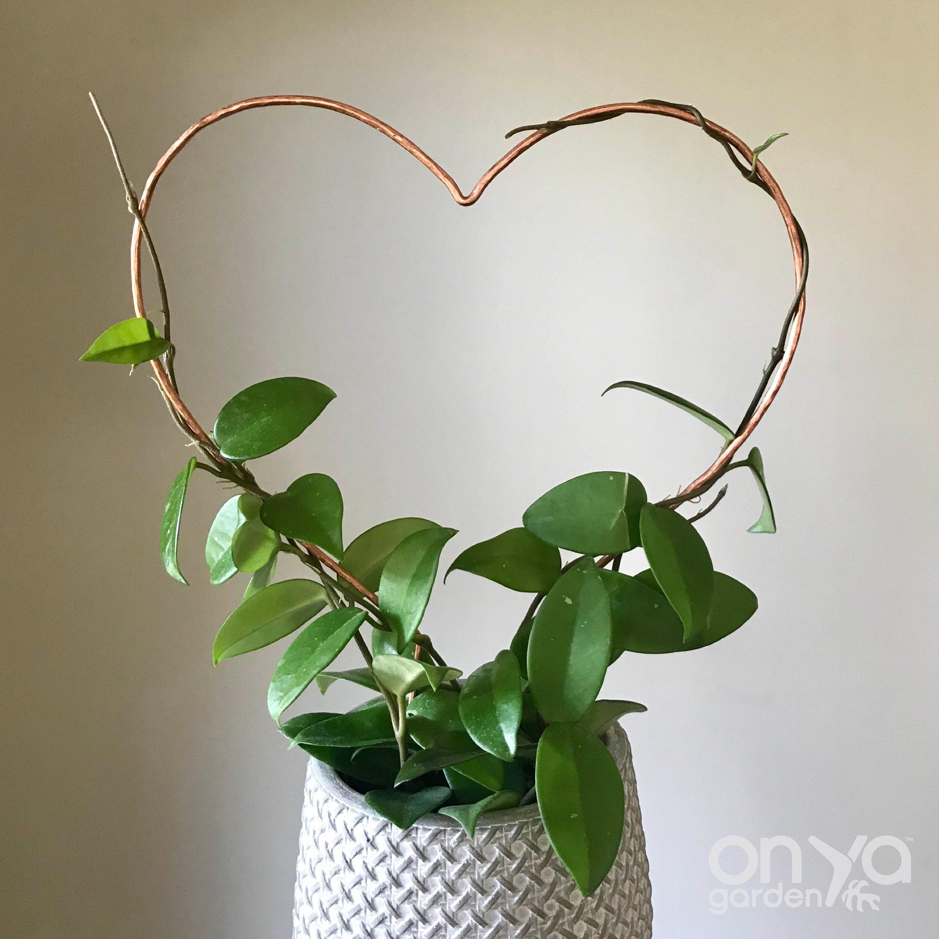 Copper Heart Trellis for House Plants, 3 Sizes Available