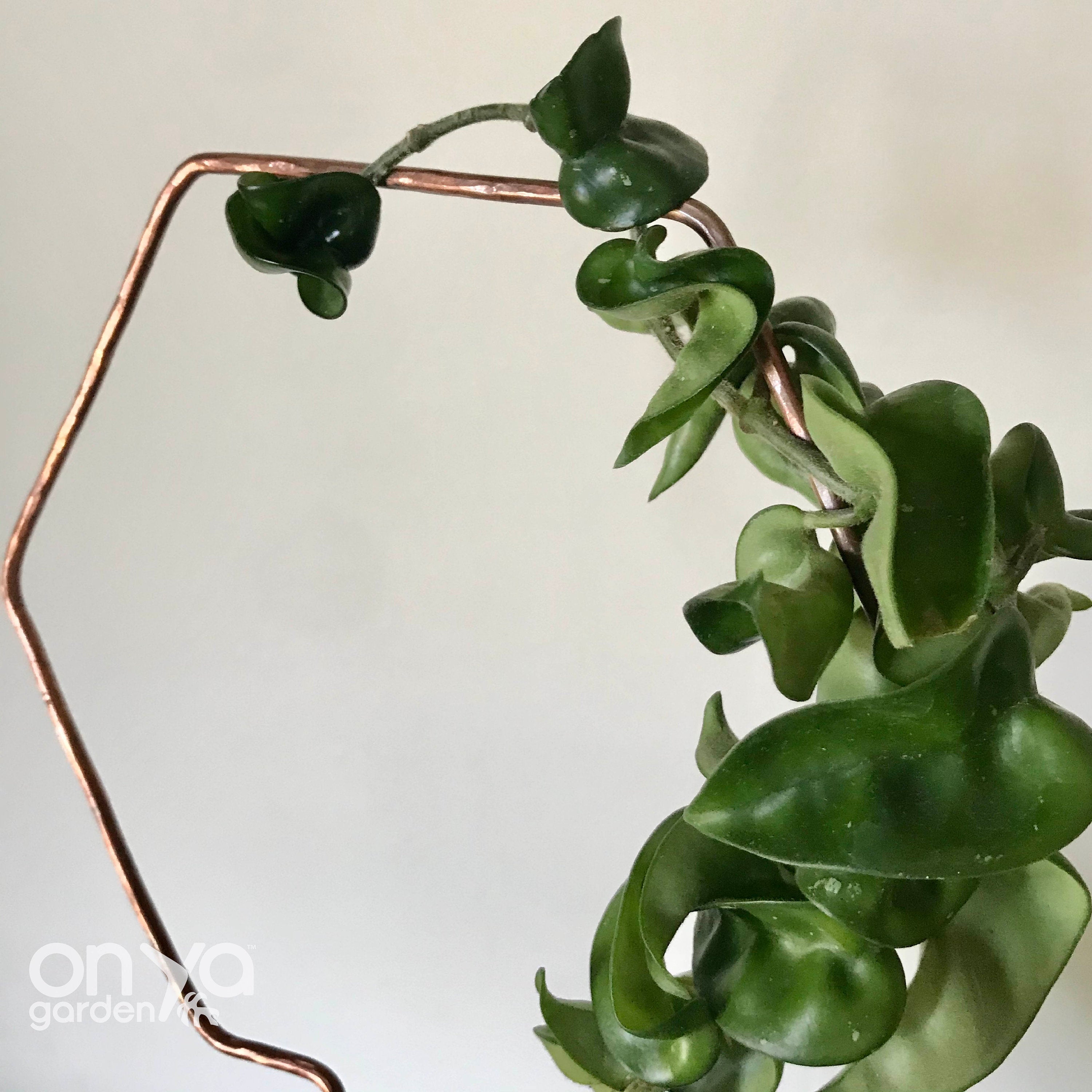 Copper Hexagon Plant Trellis, Honeycomb Trellis, 3 Sizes Available
