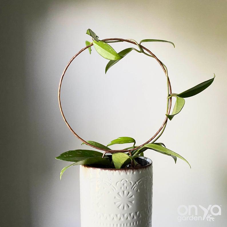 Copper Loop Circle Trellis for House Plants, 3 Sizes Available