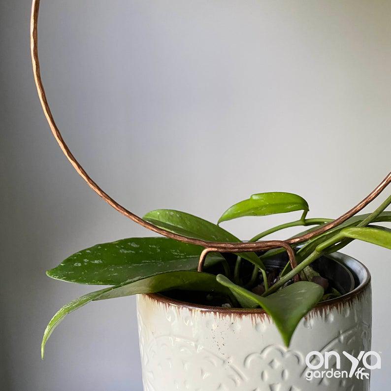 Copper Loop Circle Trellis for House Plants, 3 Sizes Available